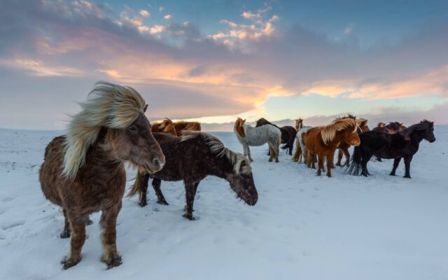 Iceland ring road photography workshop