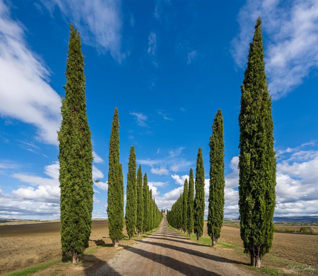 Tuscany Landscape Photography Workshop