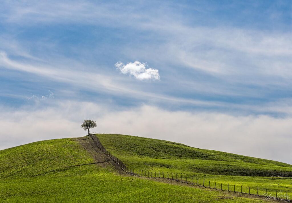 Tuscany Landscape Photography Workshop