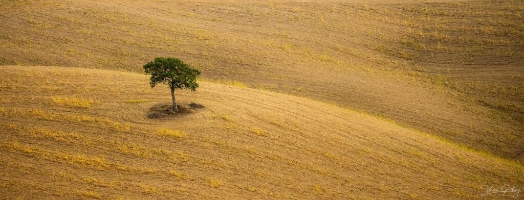 Tuscany Landscape Photography Workshop