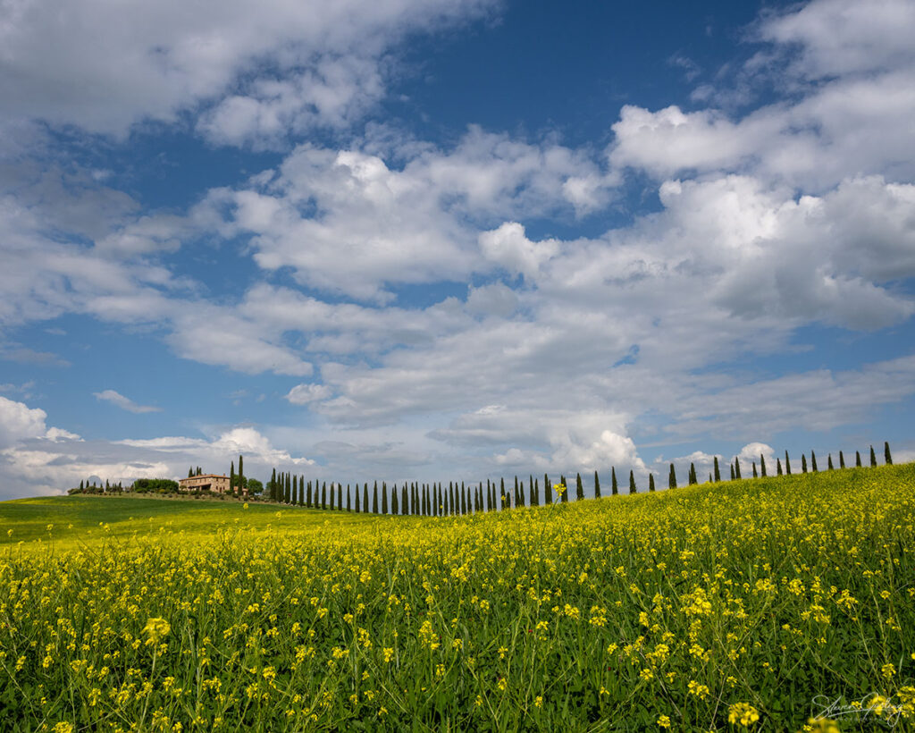 Tuscany Landscape Photography Workshop