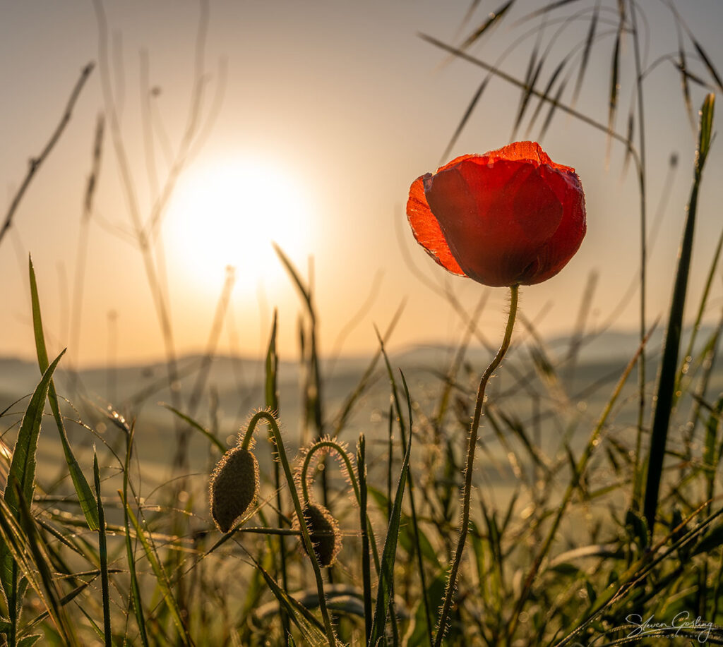 Tuscany Landscape Photography Workshop