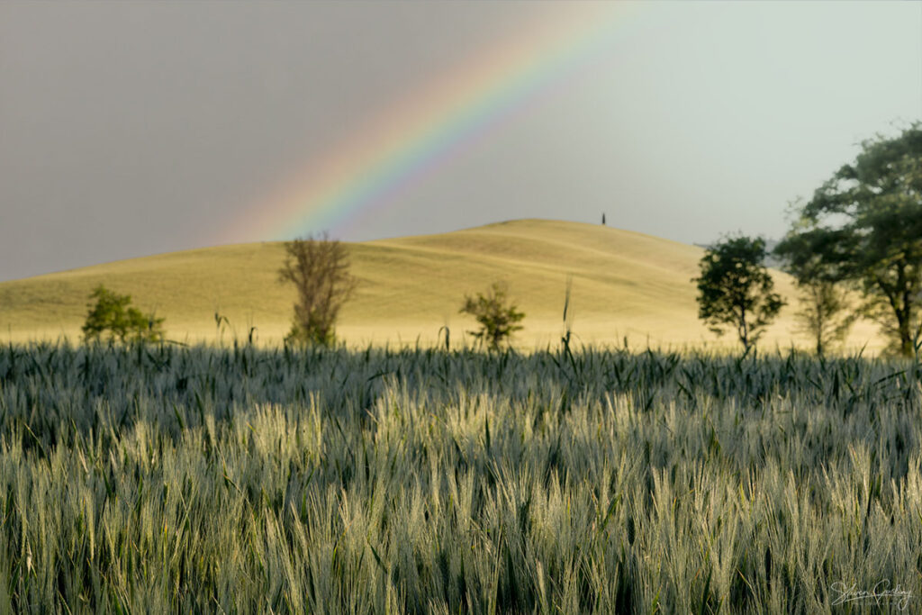 Tuscany Landscape Photography Workshop