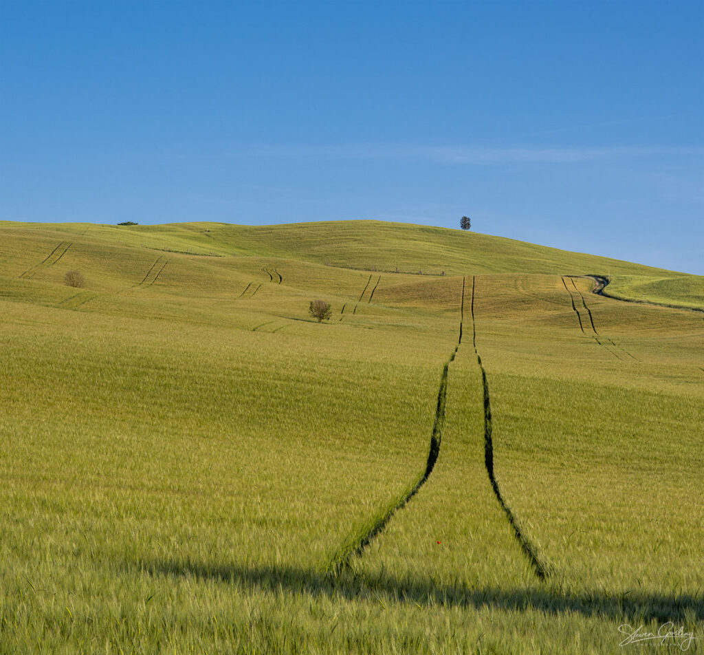 Tuscany Landscape Photography Workshop