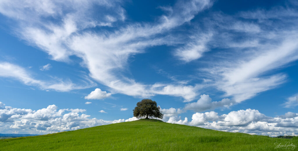 Tuscany Landscape Photography Workshop