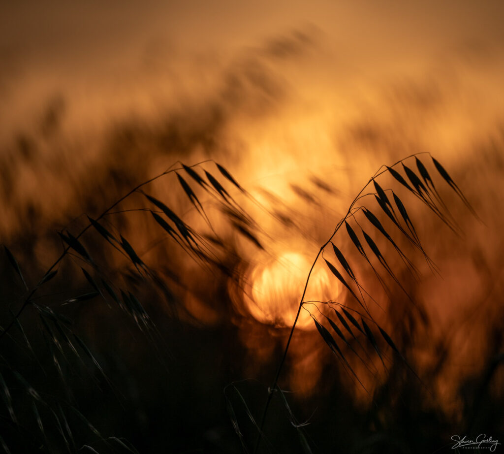 Tuscany Landscape Photography Workshop