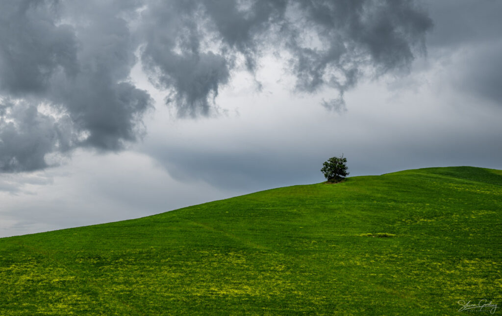 Tuscany Landscape Photography Workshop