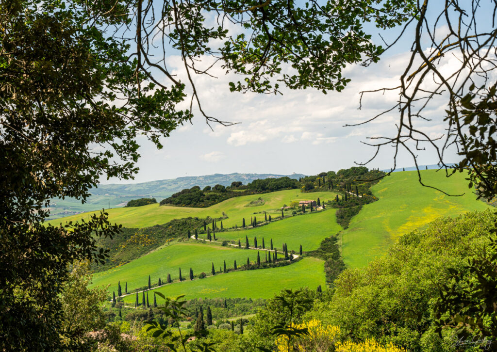 Tuscany Landscape Photography Workshop