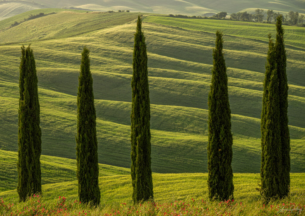 Tuscany Landscape Photography Workshop