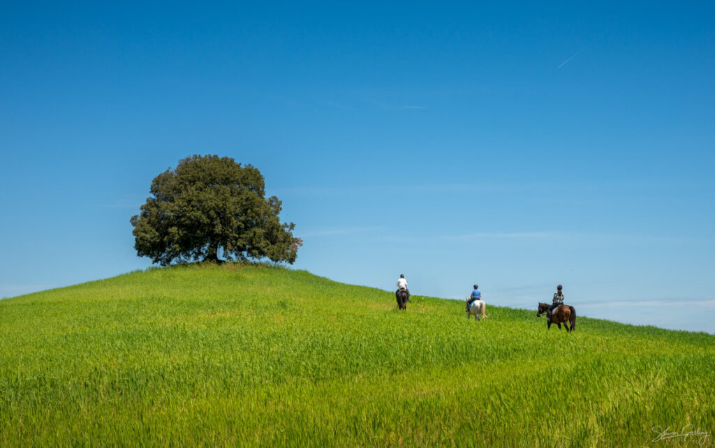 Tuscany Landscape Photography Workshop