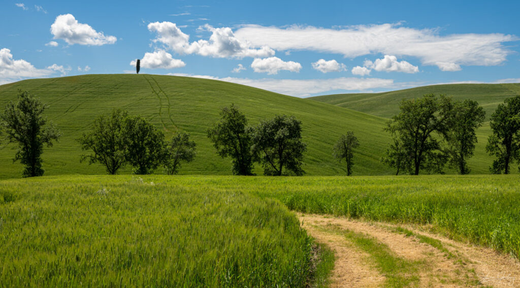 Tuscany Landscape Photography Workshop